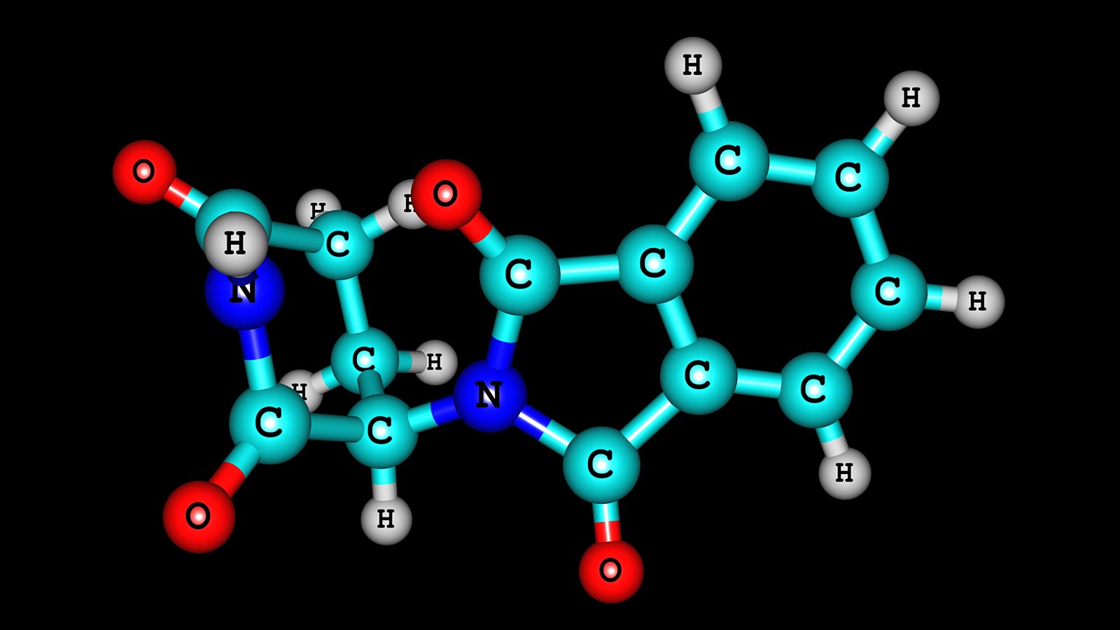 Talidomida malformación feto